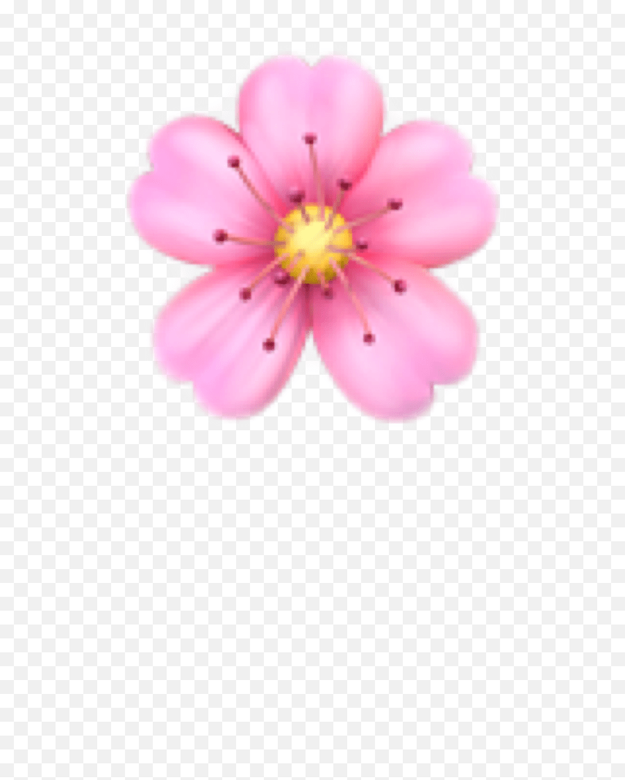 Flower Emoji Sticker,Pink Flower Emoji Meaning Free Emoji PNG Images