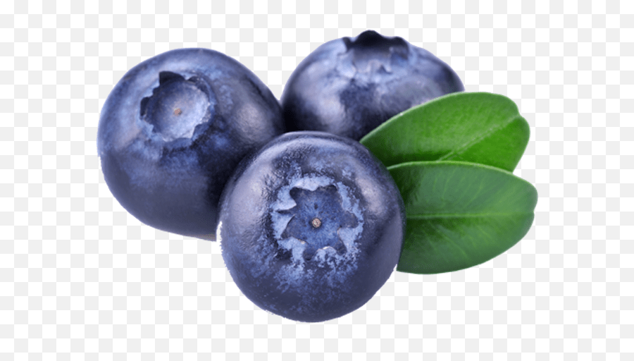 Blueberry Free Png Image Png Arts Emoji,Blue Berry Emoji Free Emoji PNG Images