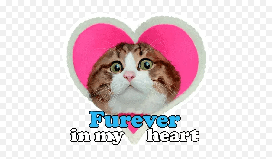 Rexie Cat Sticker Pack Stickers Cloud Emoji,Fat Cat In Love Emoji