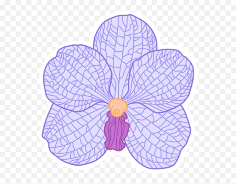 Flower Orchid Çiçek Sticker Moth Orchid Emoji,Orchid Emoji Free