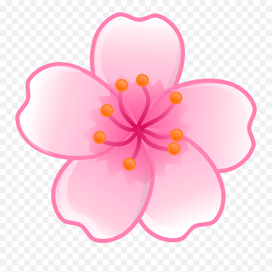 Cherry Blossom Flower Single Cherry Blossom Png Emoji,Cherry Blossom