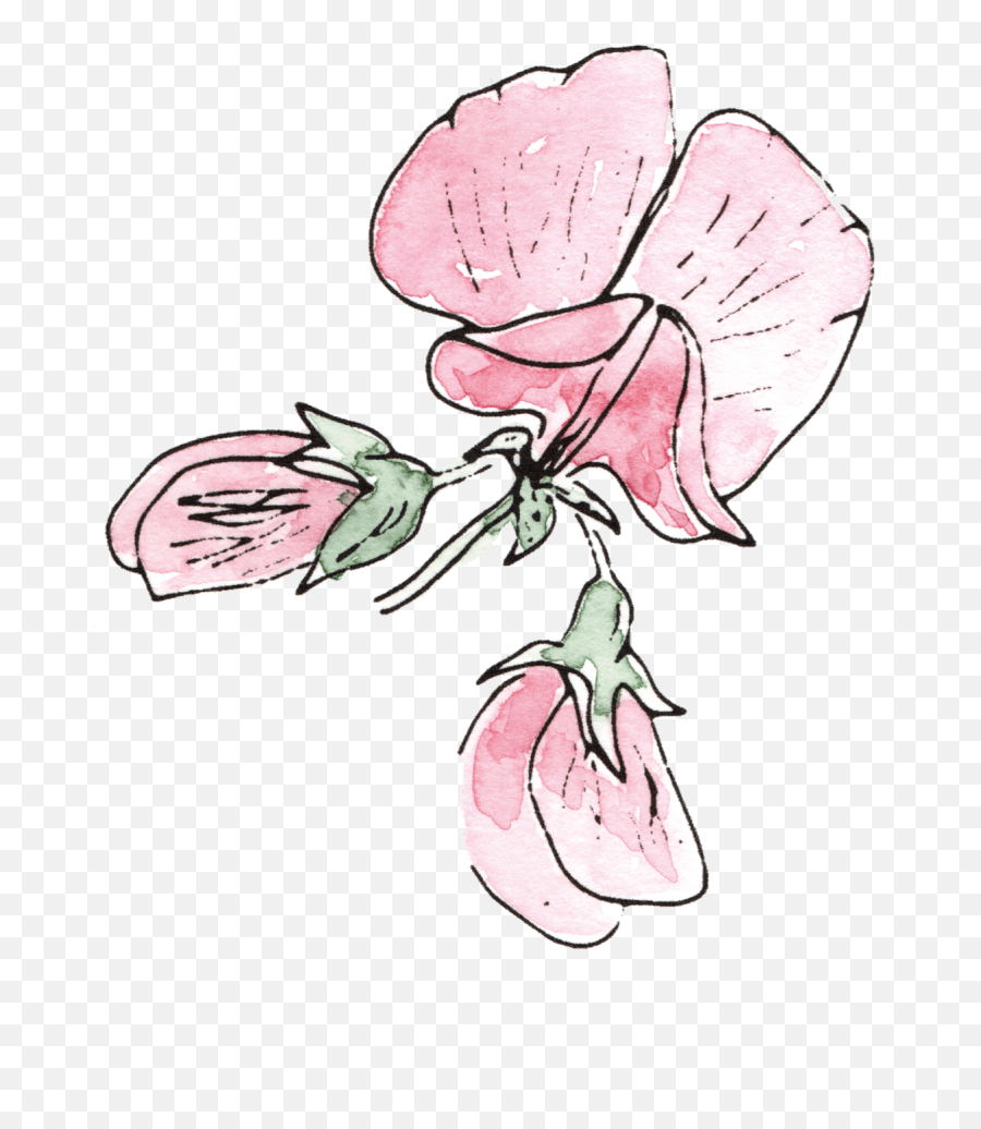 The Sweet Pea Emoji,Pea Emojis Free Emoji PNG Images