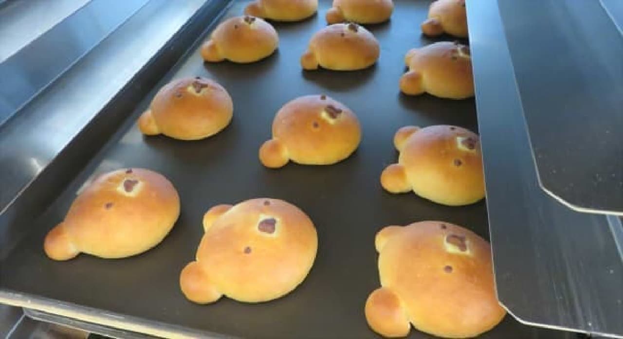 築地で仕入れた魚のパン！「オリミネベーカーズ」の絶品“サバサンド”や“しらすのフォカッチャ”を食べてみた [えん食べ]