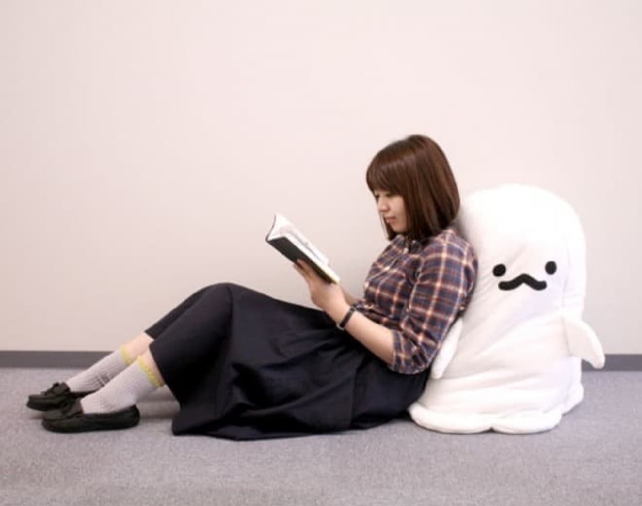 There is a ghost in my room! … “Futon storage case for living with
