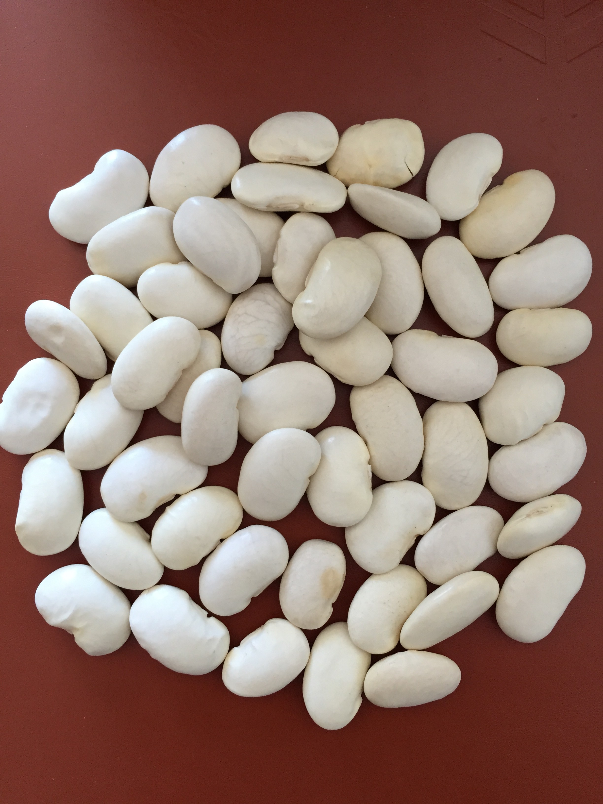 White Kidney Beans China Kidney Beans Exportimes