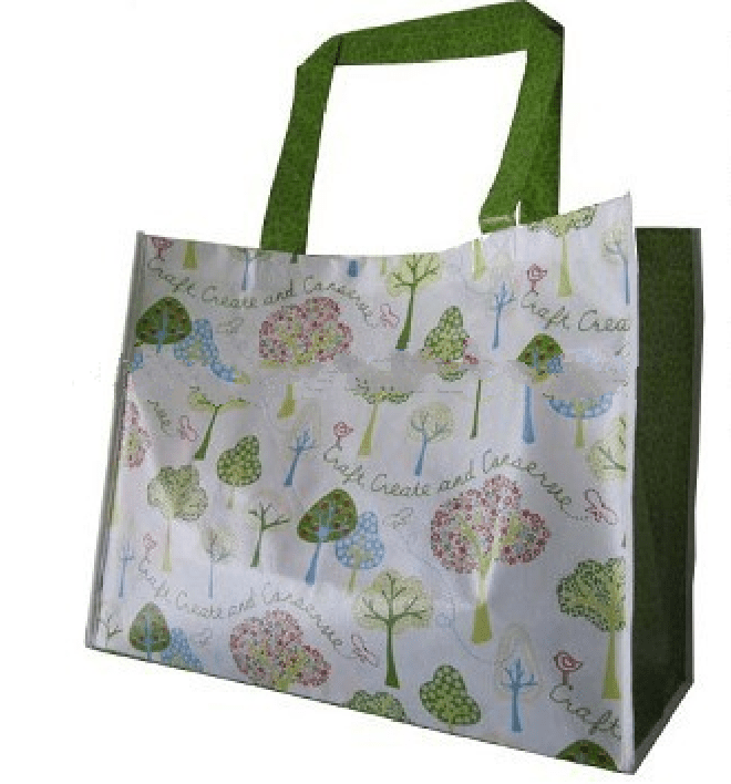 Recyclable & Reusable Shopping Bag; PP Woven Bag; Beautiful Shopping