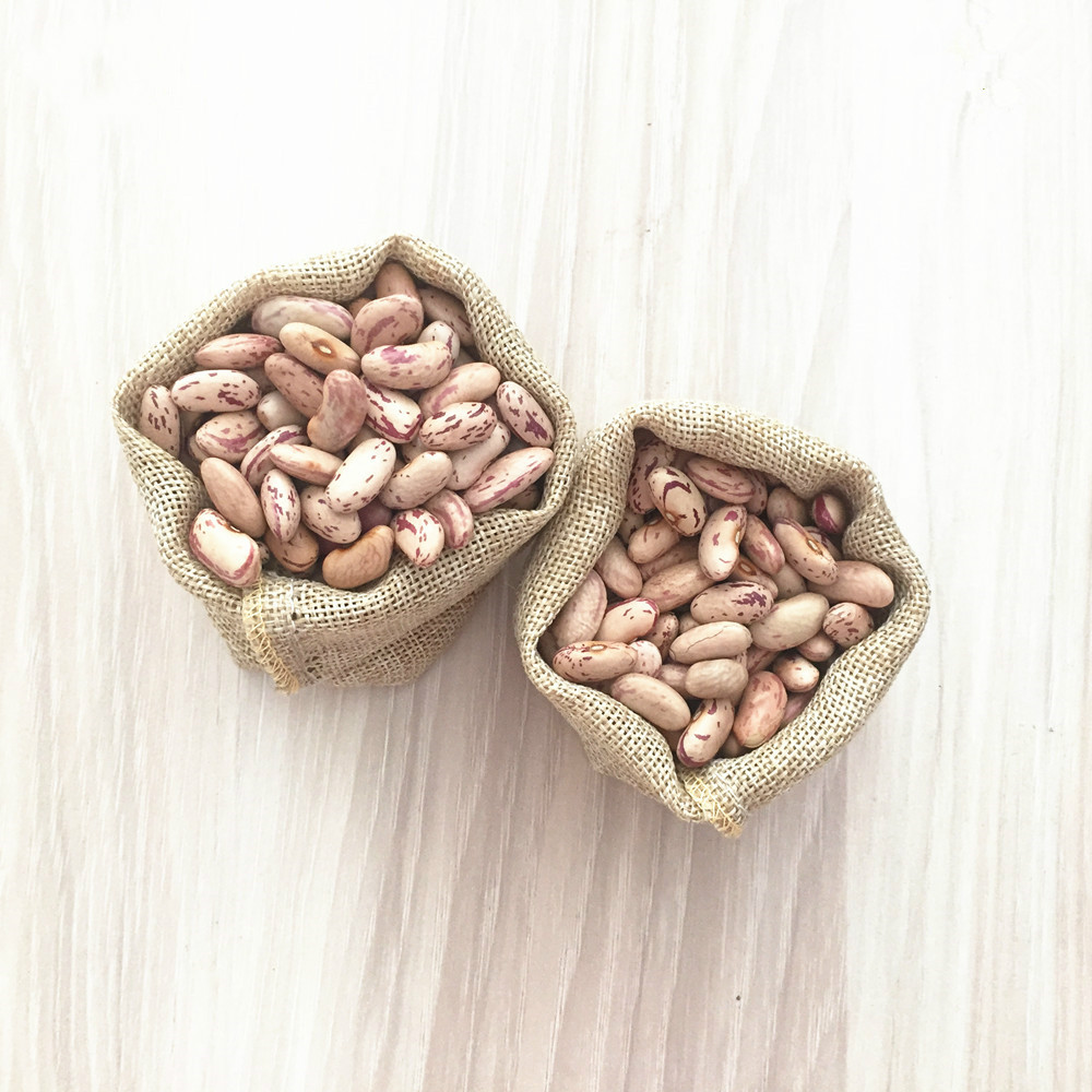 JSX cheap price for speckled butter beans dried high quality kidney