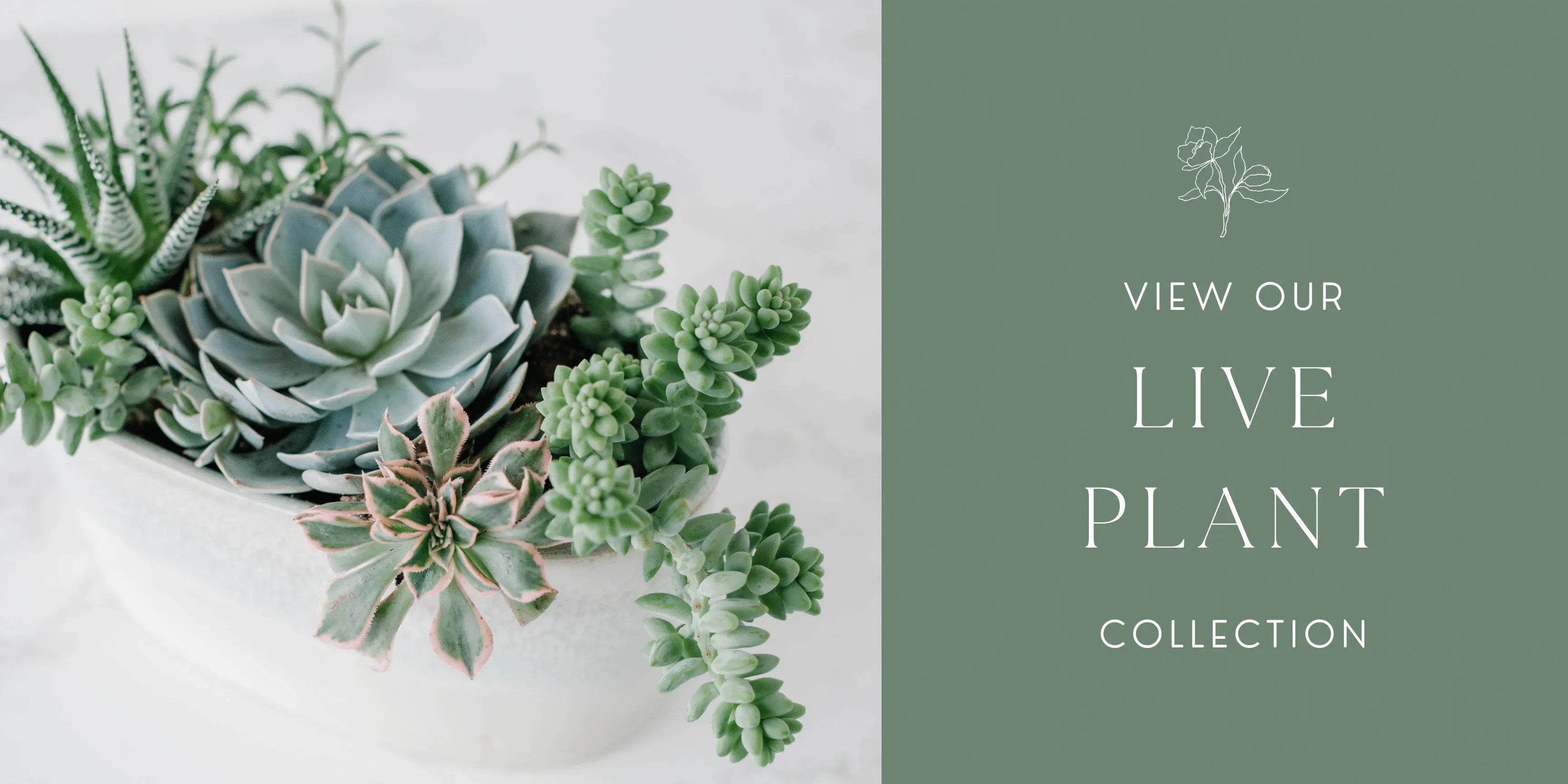 Mum's Flowers Whitefish Flower shop