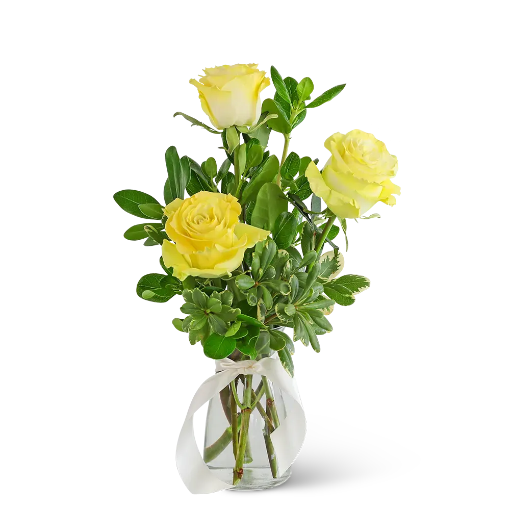 Three Yellow Roses Alpharetta Florist Flower Delivery in Alpharetta