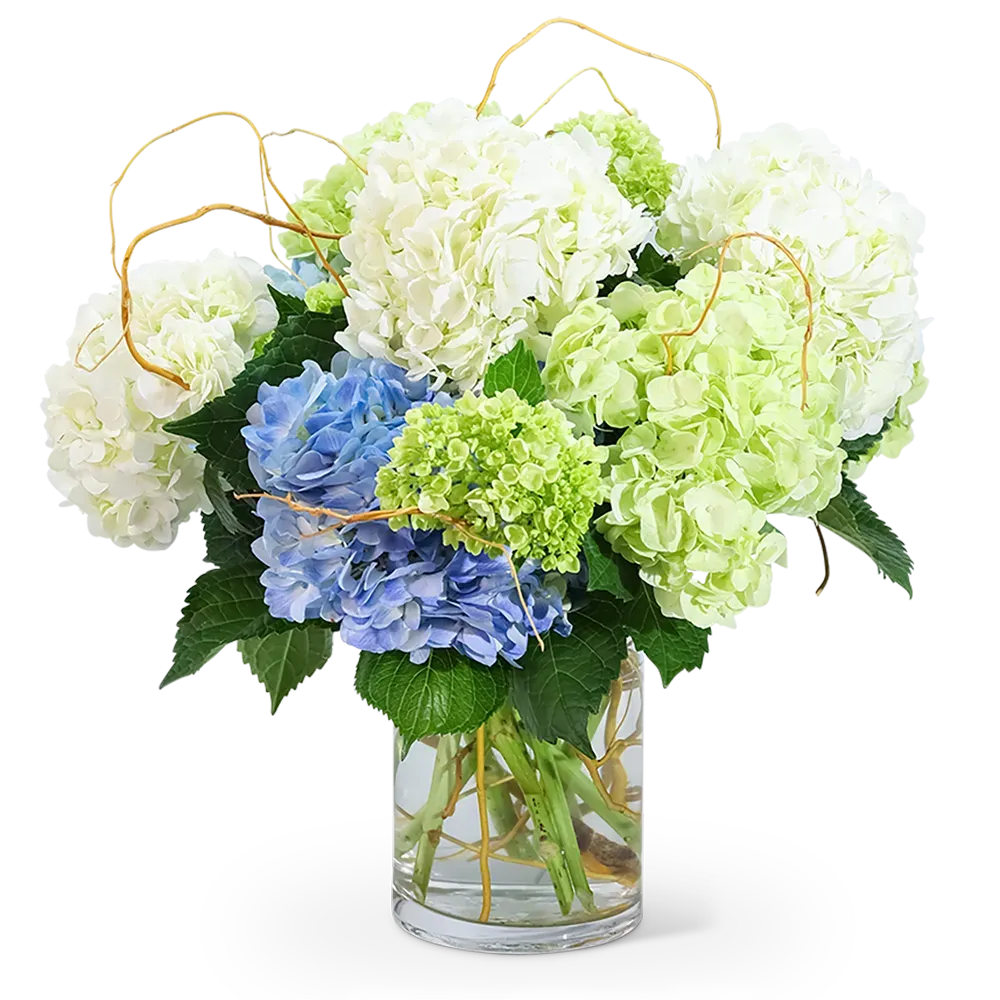Hello, Hydrangea! Sparta Florist Sparta Floral & Greenhouses Local