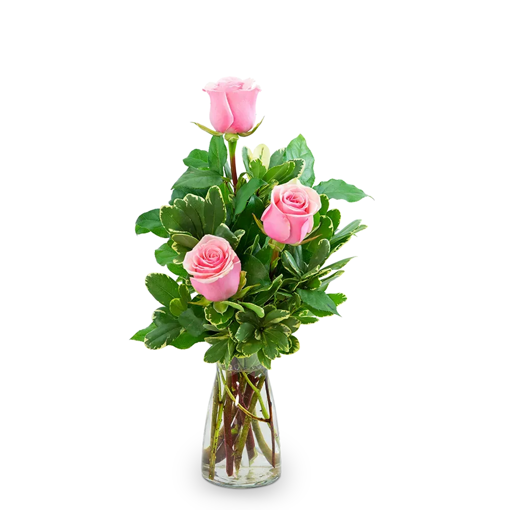 Pink Roses (3) Vacaville Florist Brick by Brick Floral Local Flower