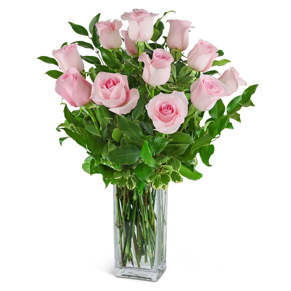 One Dozen Light Pink Roses Vacaville Florist Brick by Brick Floral