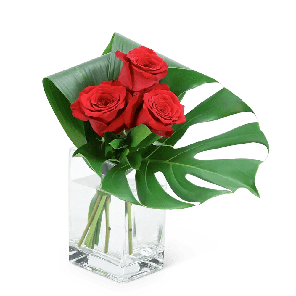 Modern Roses (3) Vacaville Florist Brick by Brick Floral Local