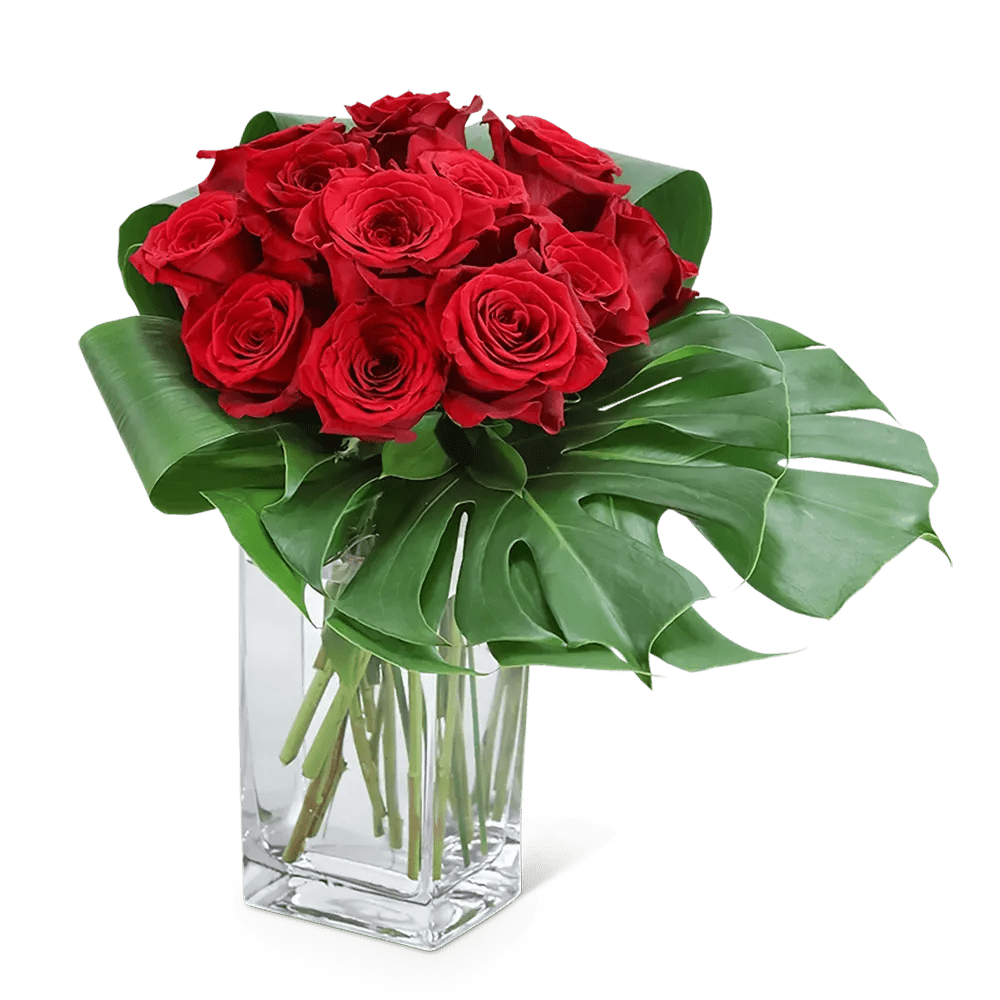 Modern Roses (12) Vacaville Florist Brick by Brick Floral Local