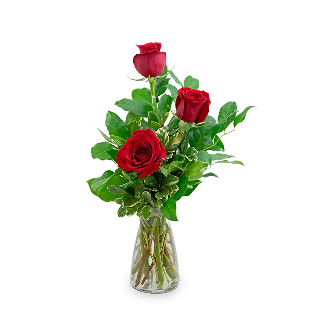 Red Roses (3) Vacaville Florist Brick by Brick Floral Local Flower