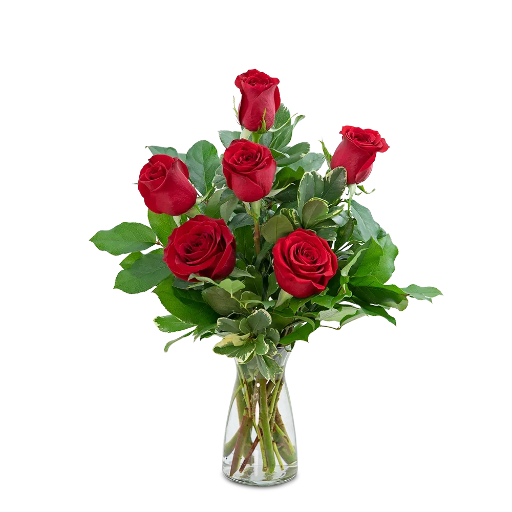 Red Roses (6) Vacaville Florist Brick by Brick Floral Local Flower