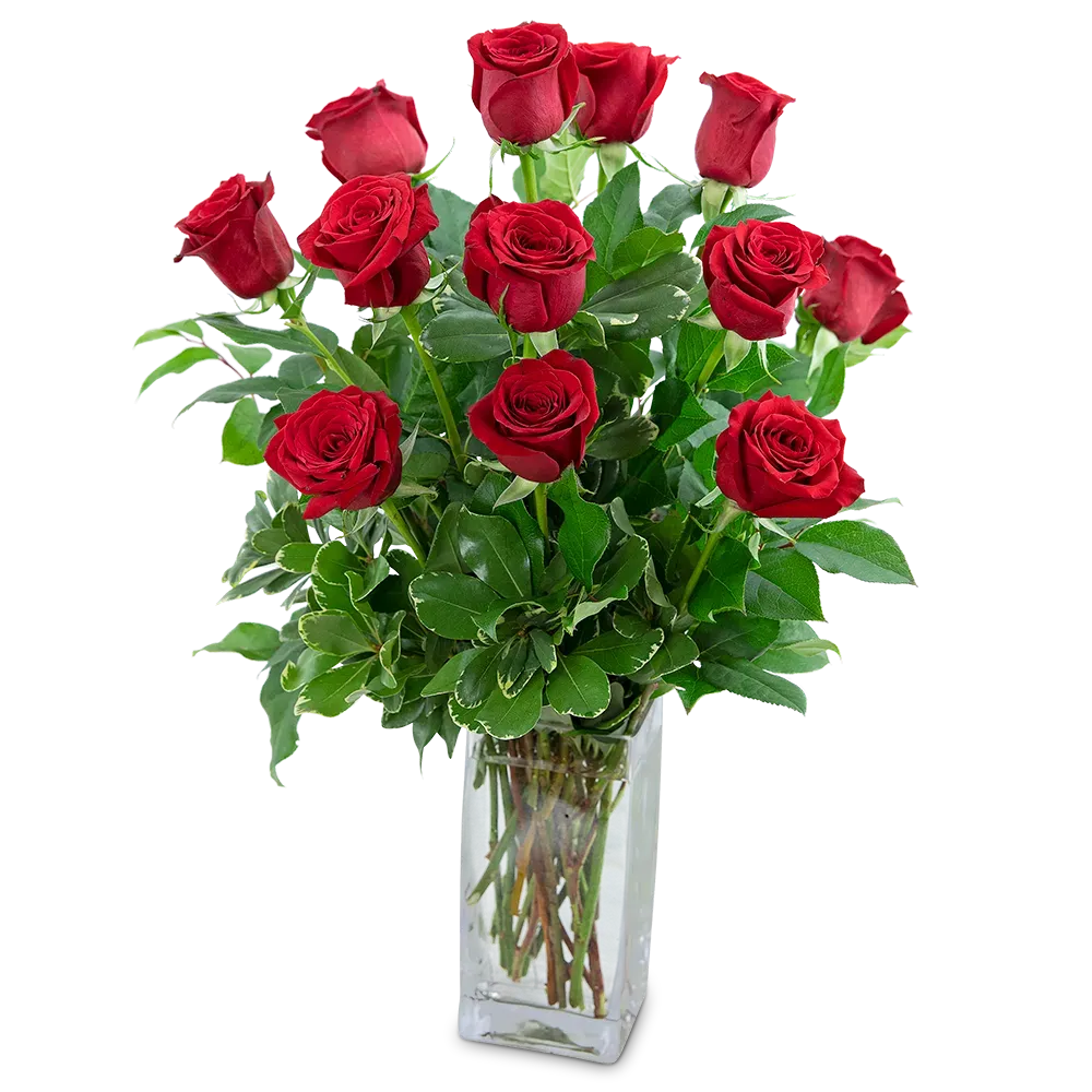 Classic Dozen Red Roses Sparta Florist Sparta Floral & Greenhouses
