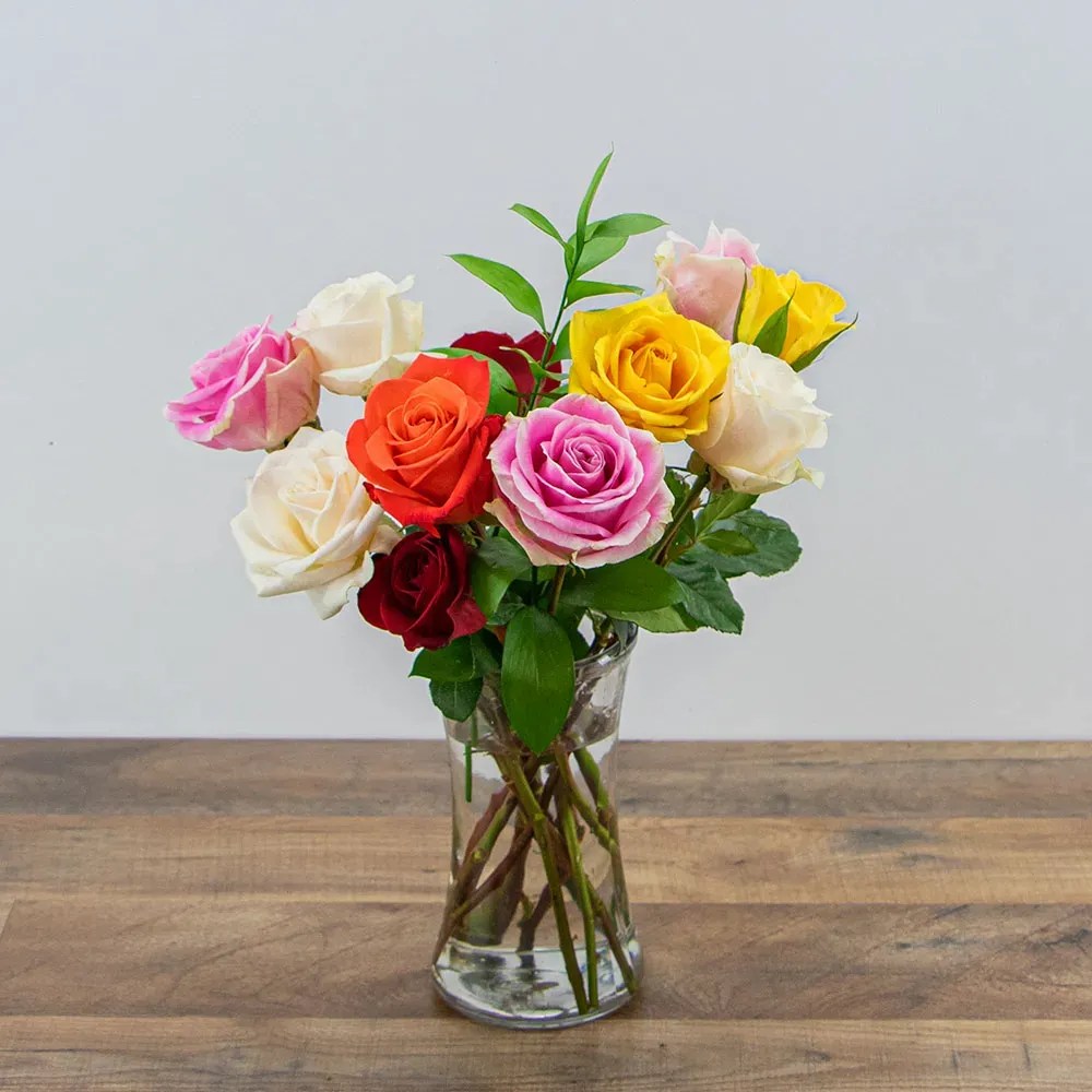 Rainbow Roses Exeter Flower Shop Local Flower Delivery Exeter, NH 03833