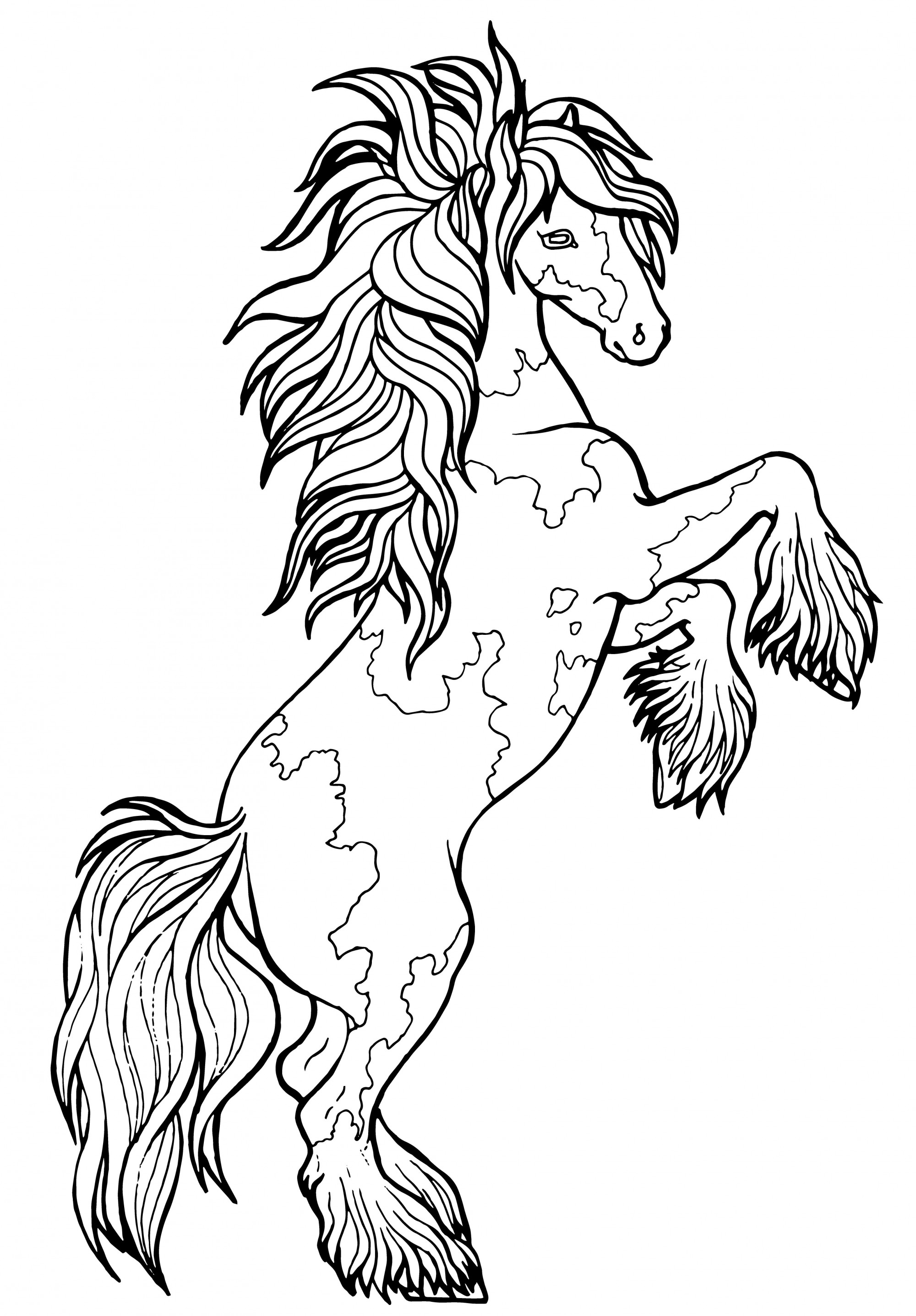 馬はトロットを実行します。塗り絵。馬はトロットを実行します。塗り絵。ティンカーはサラブレッド種の馬です
