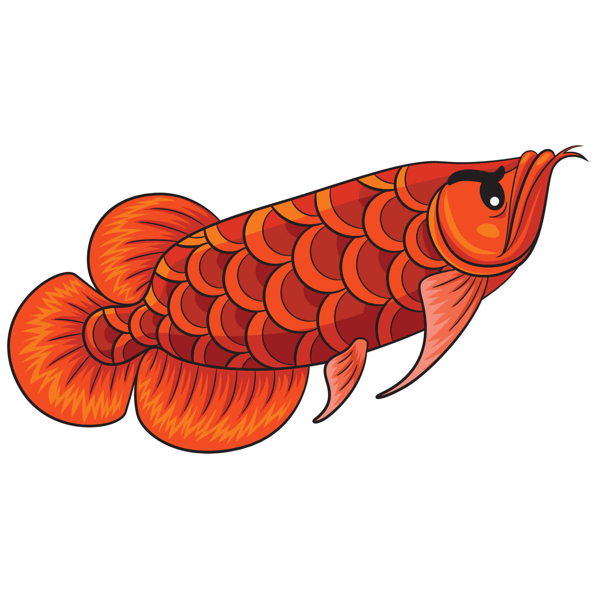 アロワナ魚漫画 プレミアムベクター