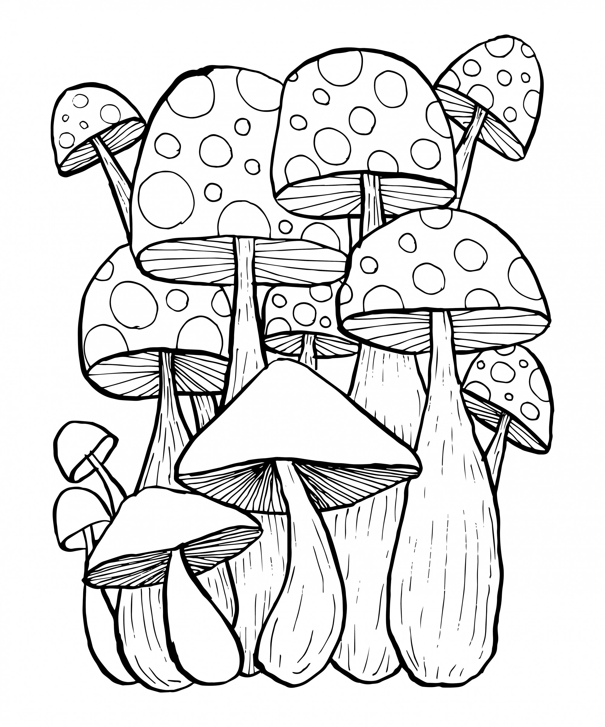 きのこ 塗り絵 Nurieiscoloring 無料のぬりえ画像