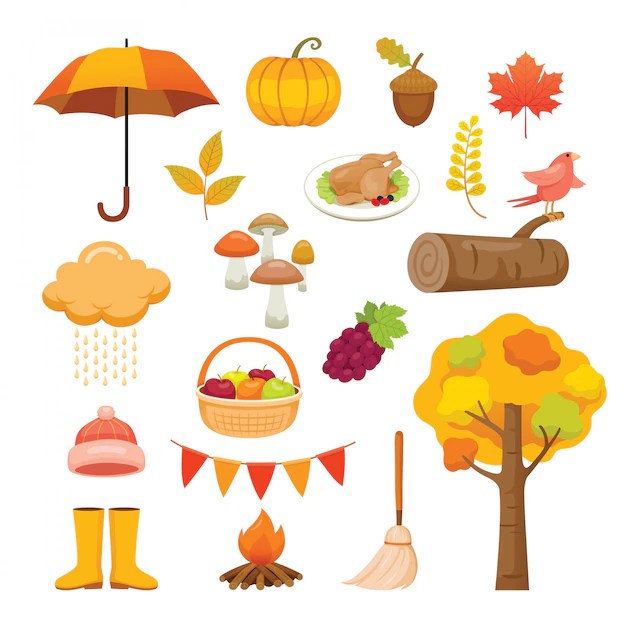 Premium Vector Autumn objects set