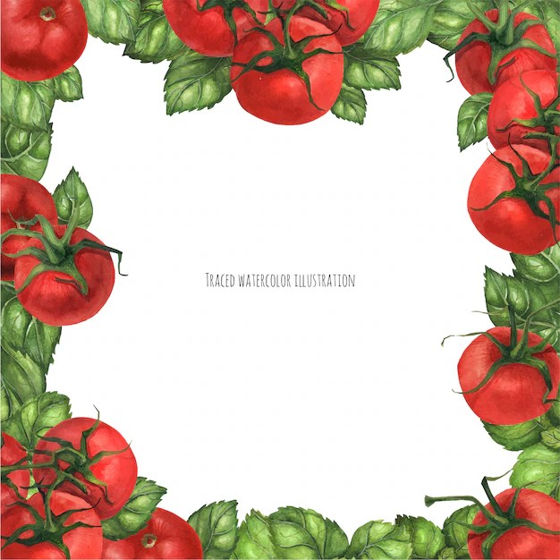 Premium Vector Basil and tomatoes square frame