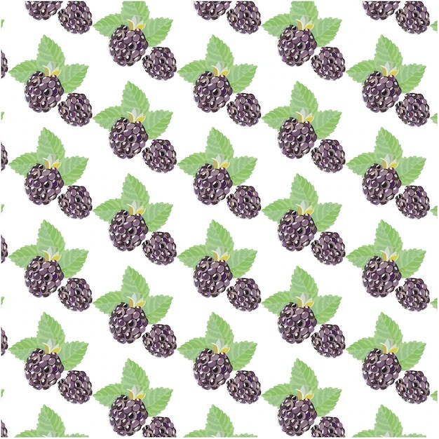 Free Vector Blackberry pattern background