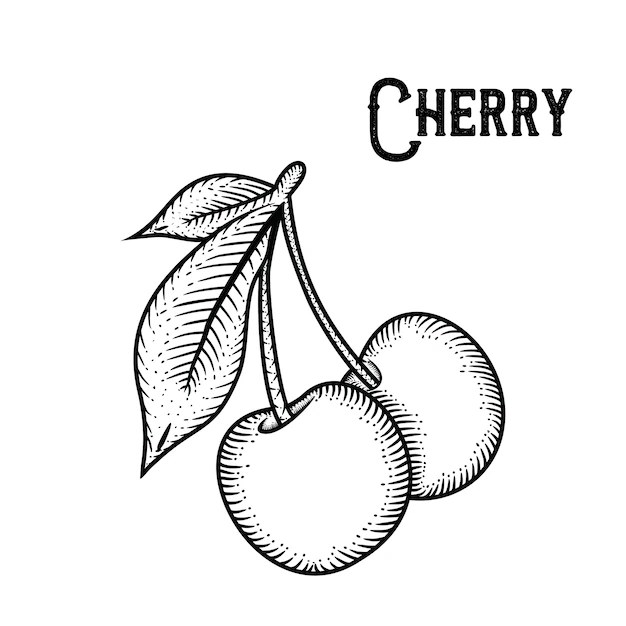 Premium Vector Cherry hand drawn