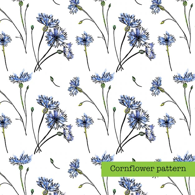 Premium Vector Cornflower pattern