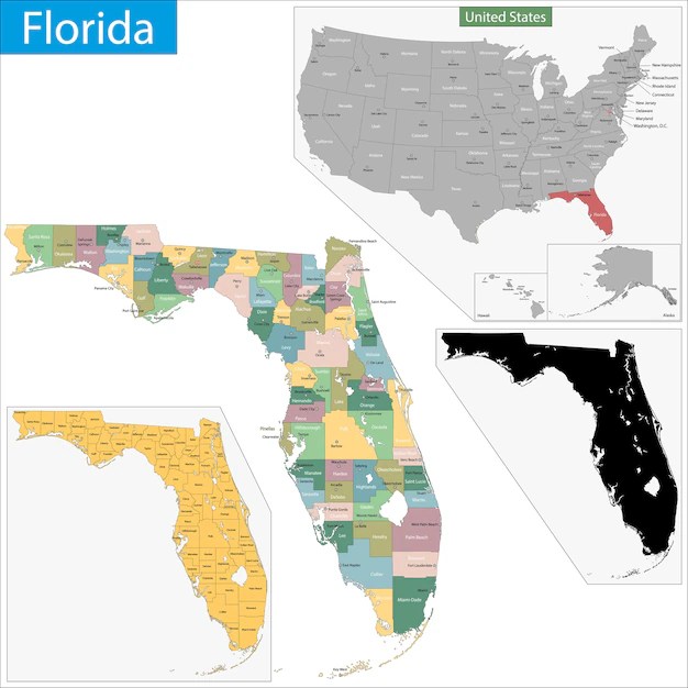 Premium Vector Florida map