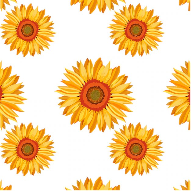 Sunflower Background Vectors, Photos and PSD files Free Download