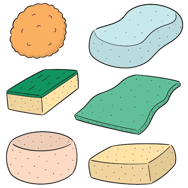 Premium Vector Vector set of sponge