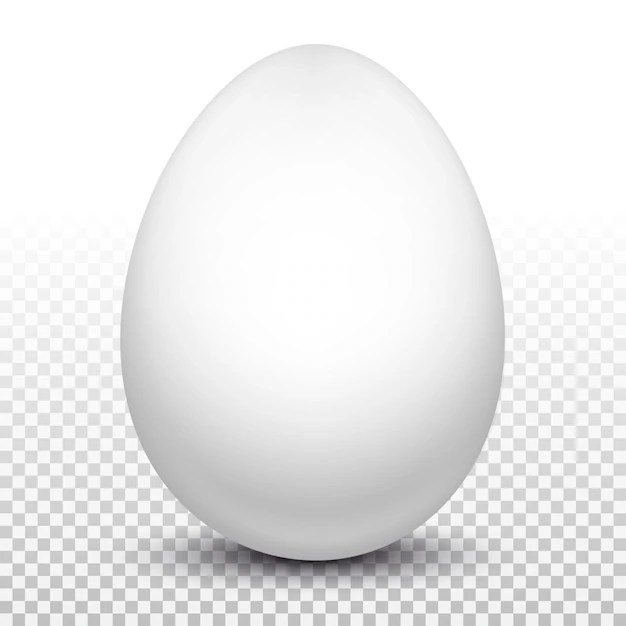 Premium Vector White egg