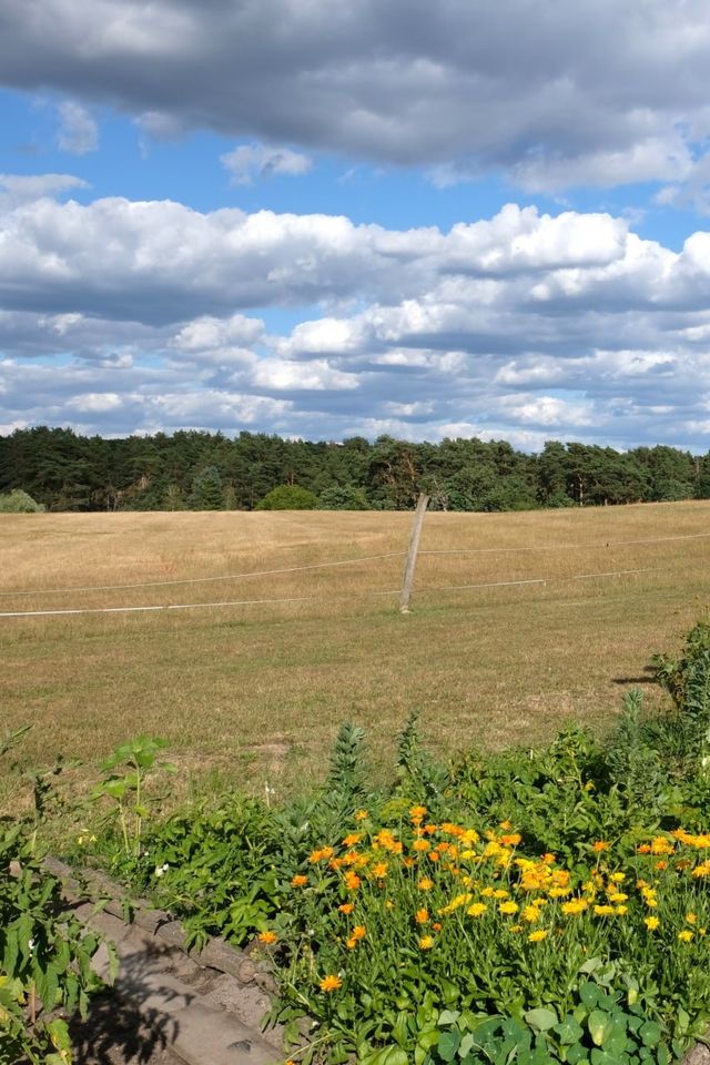 Quiet little place with farreaching views near Scharmützelsee