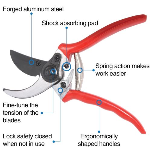 Buy "My Cozy Home" Pruner Pruning Shears with Safety Lock Cheap H&J