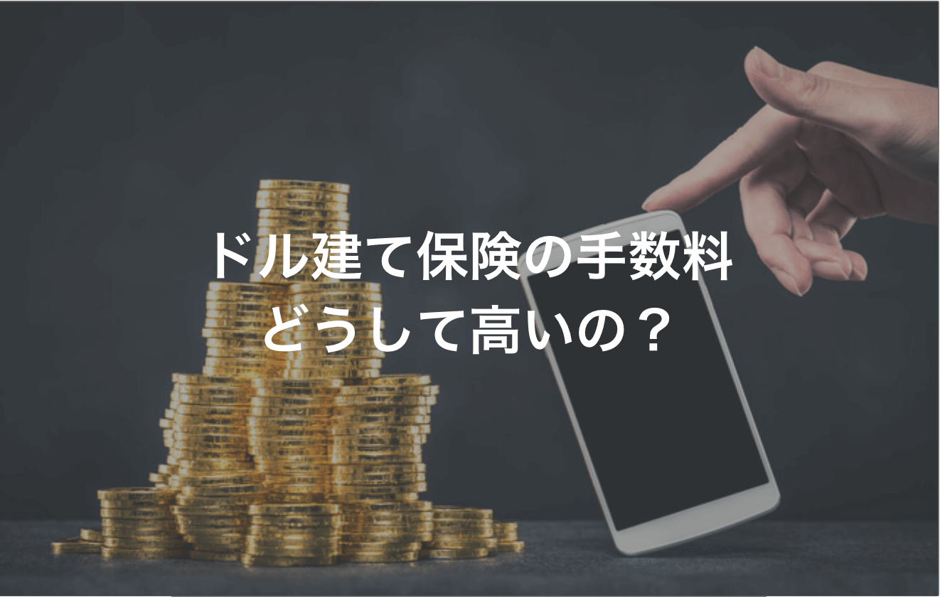 ドル建て保険の手数料は高い？手数料金額や運用費用、リスクを解説
