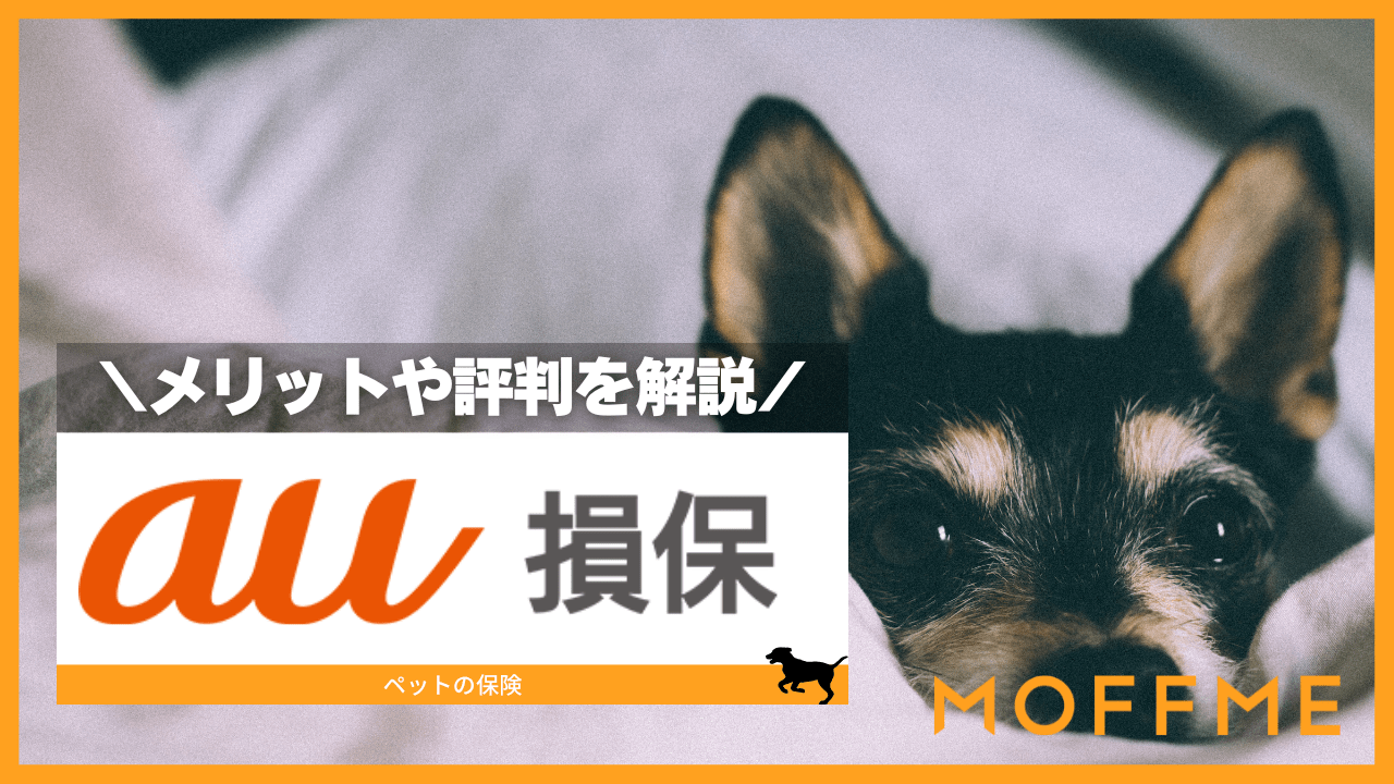 auペット保険の口コミを紹介！補償内容の特徴やメリットも徹底解説！