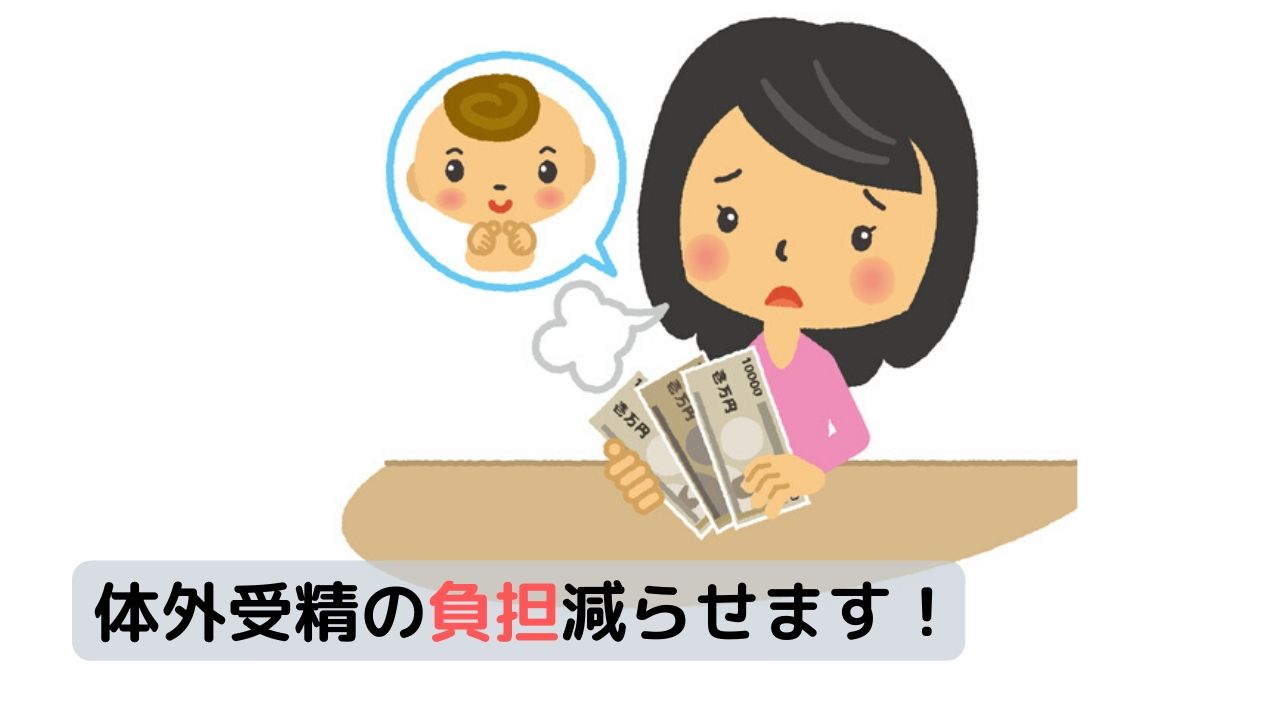【体外受精の保険】治療中の入院や手術を負担/治療の費用を負担の2種類