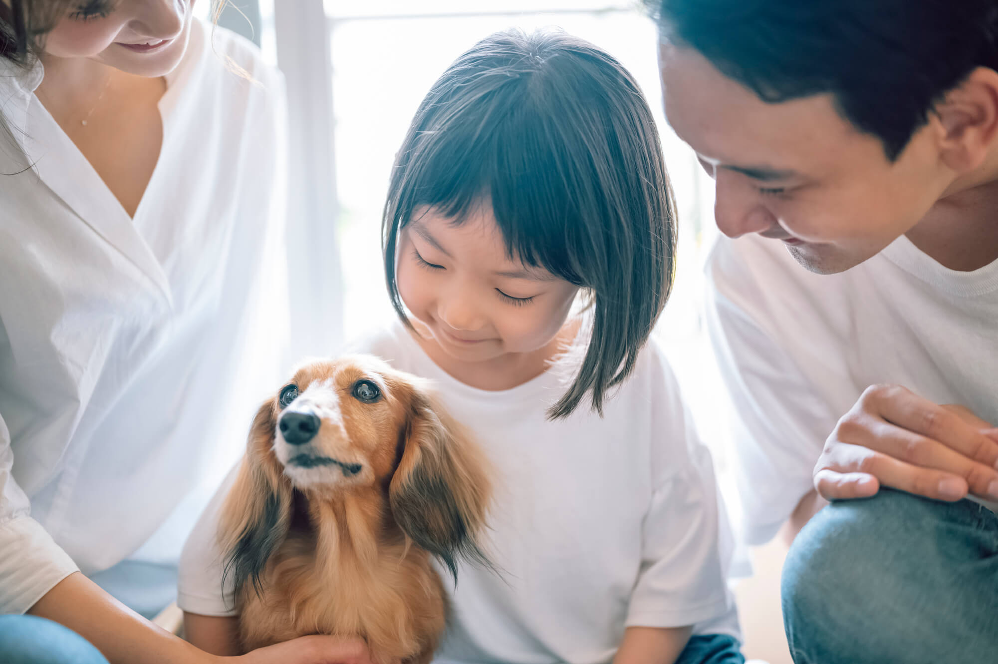 ペット保険の終身とは？一生涯継続できるペット保険を紹介！