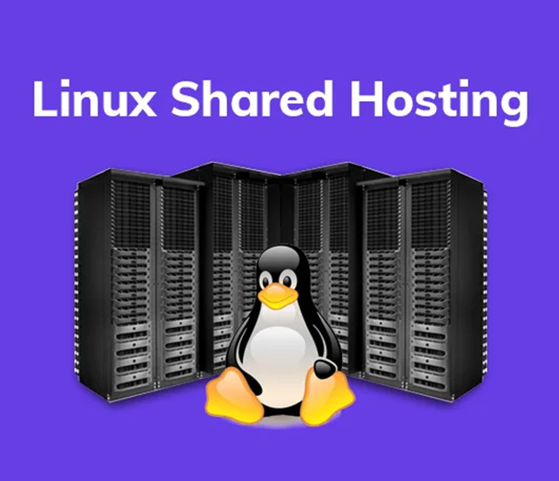 Linux Shared Hosting with Unlimited Bandwidth and Storage!