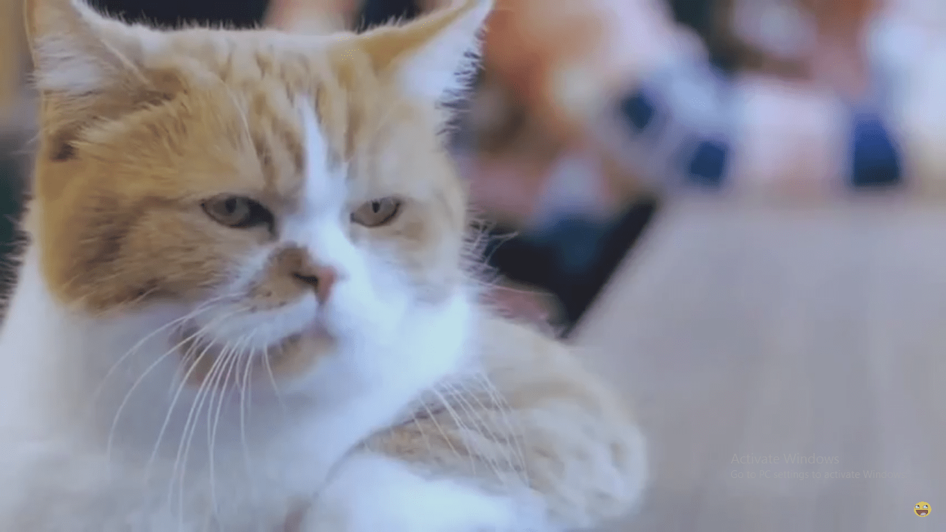 ∘° °∘「 ♡ Lilium G F X ♡ 」。∘° °∘「 CLOSED」 · forum osu!