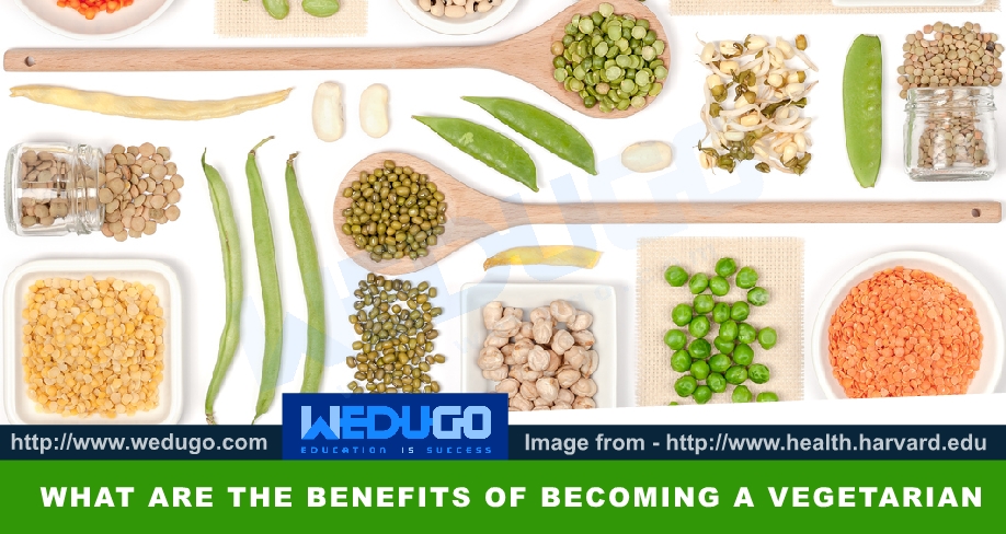 What are the benefits of a vegetarian? Check it Now