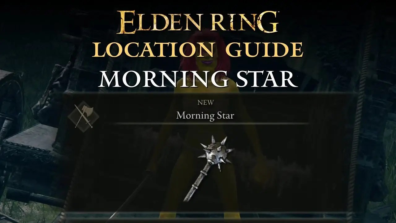 Elden Ring How To Build The Best Wild Strike Morning Star? Level 150