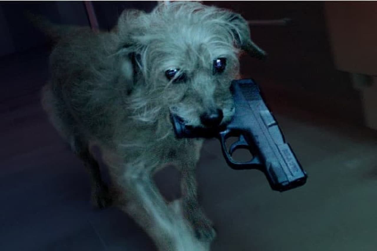 最愛の飼い主を殺されたイヌが復讐するムービー「ドッグ・ウィック」が話題 [インターネットコム]