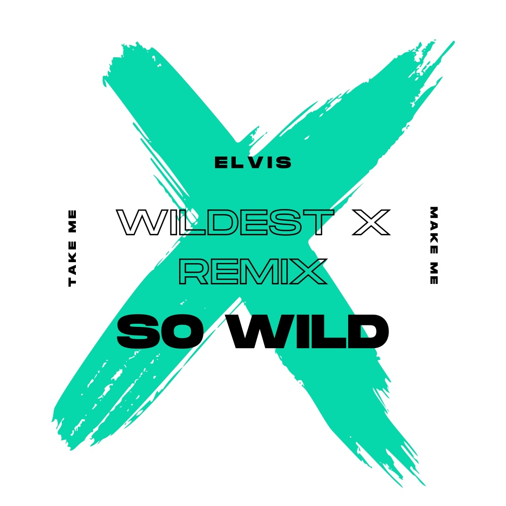 So Wild (Wildest X Remix) (Explicit) อัลบั้มของ Elvis Sanook Music