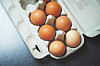 Fakta om egg er egg sunt? Mat