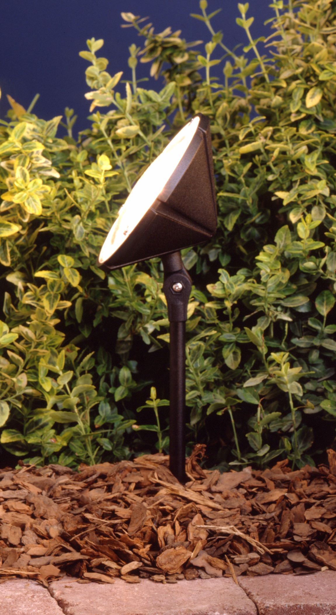 Bronze Finish Wall Wash Landscape Light 53539 Lamps Plus