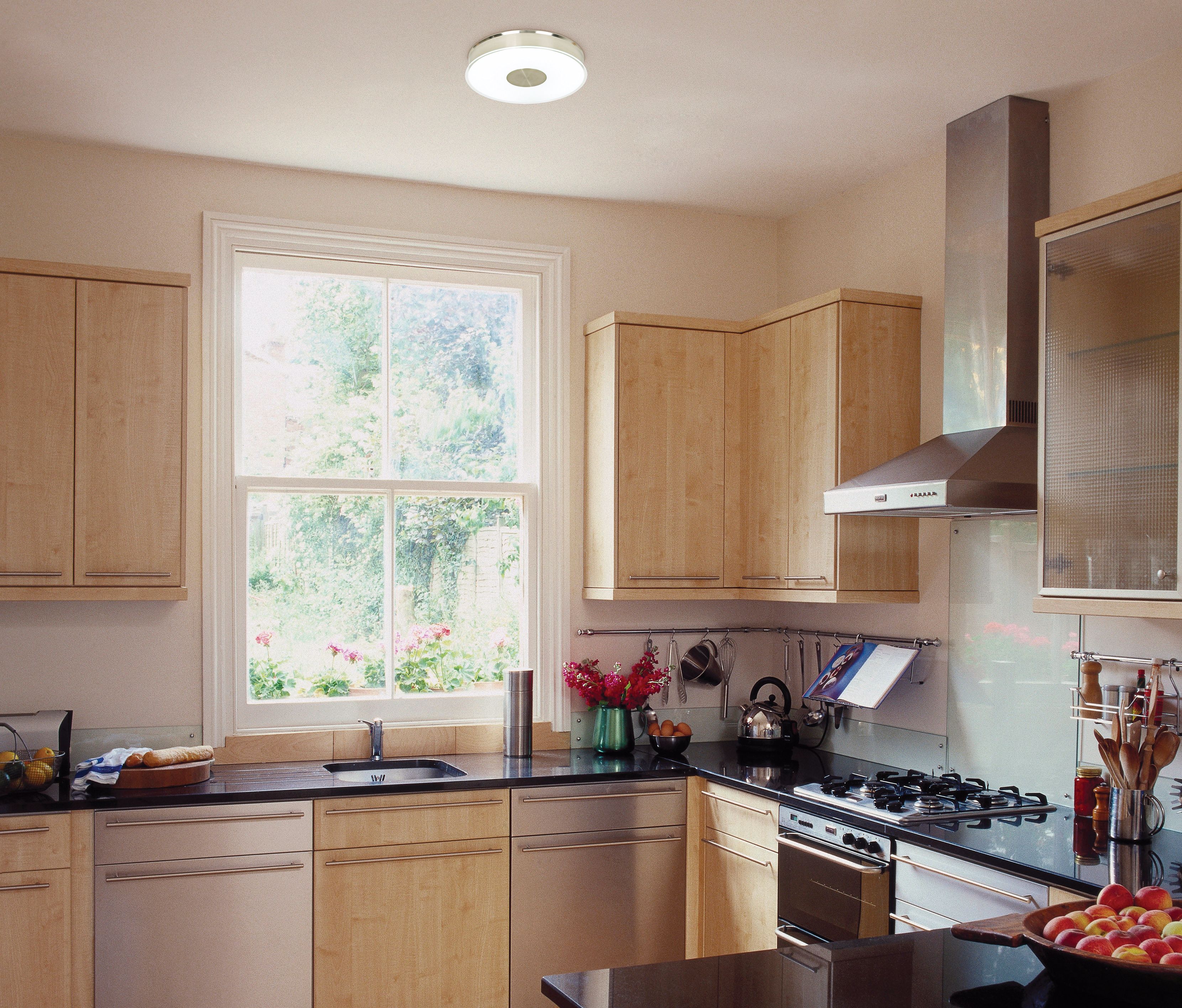 Disk Collection ENERGY STAR 10 1/2" Wide Ceiling Light 90893 Lamps