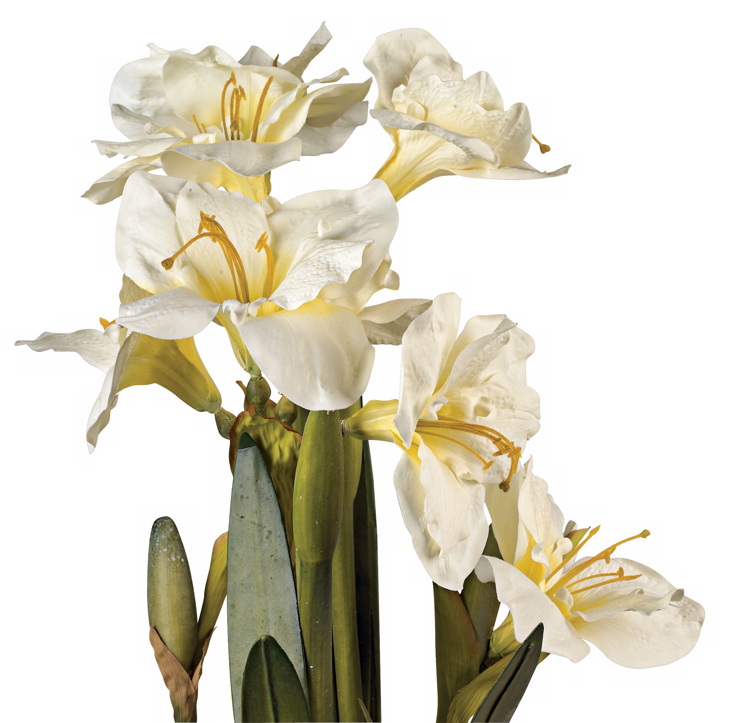 White Amaryllis 25" High Faux Flower Arrangement 30150 Lamps Plus